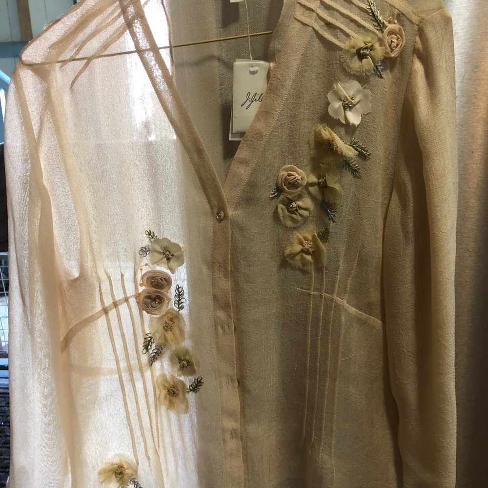 J Gill  transparent blouse